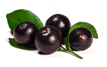 acai berries