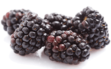 blackberries