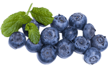 blueberries