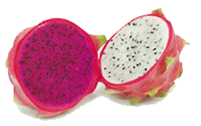 dragon fruit