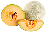 Cantaloupe