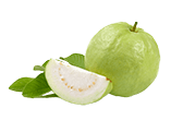 Guava