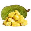 Jackfruit