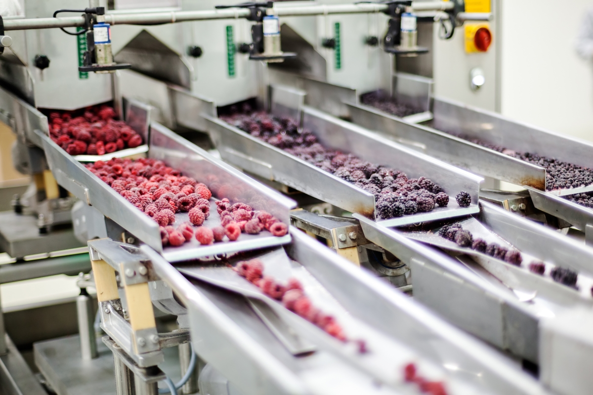 Fruit conveyors